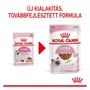 Kép 4/6 - ROYAL CANIN Wet Sterilised Kitten Gravy - továbbfejlesztett formula - új csomagolás