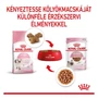 Kép 6/6 - ROYAL CANIN Wet Sterilised Kitten Gravy - vegyes etetés