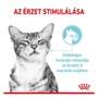 Kép 2/6 - ROYAL CANIN Wet Sensory Feel Jelly - formula