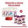 Kép 6/6 - ROYAL CANIN Wet Sensory Feel Jelly - vegyes etetés