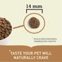 Kép 6/7 - ACANA Regional Ranchlands Dog Recipe szemcseméret