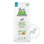 Kép 4/4 - Brit Care GrainFree Adult Large gabonamentes kutyatáp Salmon Potato - 12kg előlap