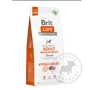 Kép 4/5 - Brit Care Adult Medium Breed Lamb-Rice -12kg