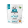 Kép 2/4 - Brit Care GrainFree Adult gabonamentes kutyatáp Salmon Potato - 1kg előlap