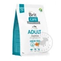 Kép 3/4 - Brit Care GrainFree Adult gabonamentes kutyatáp Salmon Potato - 3kg előlap