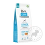 Kép 3/4 - Brit Care GrainFree Junior Large Salmon Potato gabonamentes kutyatáp - 12kg