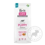 Kép 5/5 - Brit Care GrainFree Puppy gabonamentes kutyatáp Salmon Potato - 12kg előlap