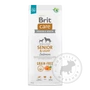 Kép 4/4 - Brit Care GrainFree Senior &amp; Light Salmon gabonamentes kutyatáp - 12kg előlap