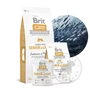 Kép 1/4 - Brit Care GrainFree Senior &amp; Light Salmon gabonamentes kutyatáp - többféle kiszerelésben