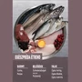 Kép 5/9 - ORIJEN Fit and Trim Recipe összetétel