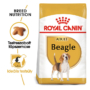 Kép 1/5 - ROYAL CANIN BEAGLE ADULT - Beagle felnőtt száraz kutyatáp - 12kg