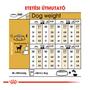 Kép 2/5 - ROYAL CANIN CHIHUAHUA ADULT - Chihuahua felnőtt száraz kutyatáp - 1.5kg