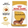 Kép 1/5 - ROYAL CANIN DACHSHUND ADULT - Tacskó felnőtt száraz kutyatáp - 500g