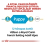 Kép 2/5 - ROYAL CANIN FRENCH BULLDOG PUPPY - Francia Bulldog kölyök száraz kutyatáp - 3kg