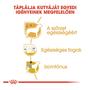 Kép 2/5 - ROYAL CANIN POODLI ADULT - Poodli felnőtt száraz kutyatáp - 7.5kg