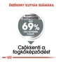 Kép 2/5 - ROYAL CANIN Mini Dental Care - kistestű felnőtt és idősödő száraz kutyatáp - 1kg