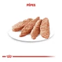 Kép 2/7 - ROYAL CANIN Wet Light Weight Care Adult nedves kutyatáp - 12 x 85g