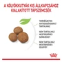 Kép 3/6 - ROYAL CANIN GIANT PUPPY - kölyök száraz kutyatáp - 3.5kg