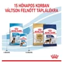 Kép 5/5 - ROYAL CANIN MAXI PUPPY - kölyök száraz kutyatáp - 4kg