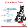 Kép 2/6 - ROYAL CANIN MAXI STARTER Mother and Babydog - száraz kutyatáp - 1kg