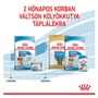 Kép 4/7 - ROYAL CANIN MEDIUM STARTER Mother and Babydog - száraz kutyatáp - 1kg