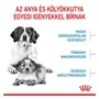 Kép 7/7 - ROYAL CANIN MEDIUM STARTER Mother and Babydog - száraz kutyatáp - 1kg