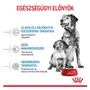 Kép 2/7 - ROYAL CANIN MEDIUM STARTER Mother and Babydog - száraz kutyatáp - 1kg