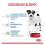 Kép 2/6 - ROYAL CANIN MINI STARTER Mother and Babydog - száraz kutyatáp - 4kg