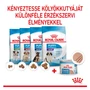 Kép 5/6 - ROYAL CANIN STARTER MOUSSE Mother and Babydog nedves kutyatáp - 12 x 195g
