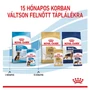 Kép 6/6 - ROYAL CANIN Wet Maxi Puppy - kölyök nedves kutyatáp - 10x140g