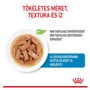 Kép 2/6 - ROYAL CANIN Wet Maxi Puppy - kölyök nedves kutyatáp - 10x140g