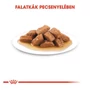 Kép 4/6 - ROYAL CANIN Wet Medium Adult - felnőtt nedves kutyatáp - 10x140g