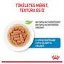 Kép 2/6 - ROYAL CANIN Wet Medium Puppy - kölyök nedves kutyatáp - 10x140g