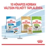 Kép 6/6 - ROYAL CANIN Wet X-Small Puppy - tápválás